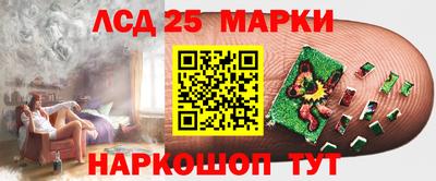 СК Заводоуковск